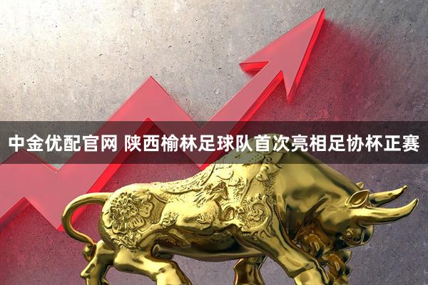 中金优配官网 陕西榆林足球队首次亮相足协杯正赛
